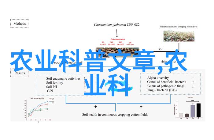 了解这10个高效益植物改变你的盆栽生活方式