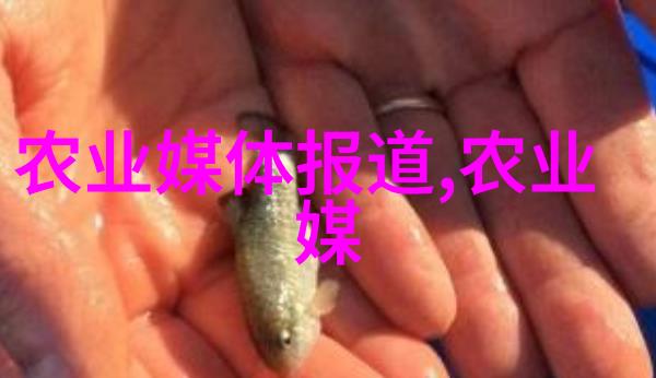 宝宝腿疼不疼尝试大开腿的秘诀与免费阅读指南