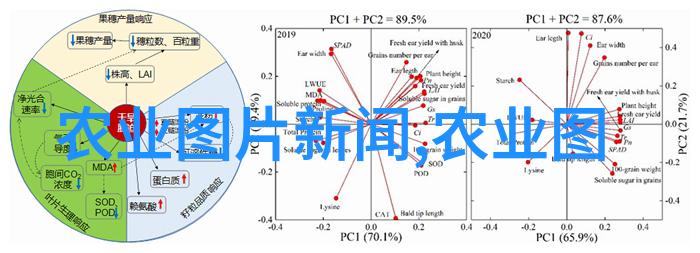 养殖百科-养殖技巧大全与实用养殖百科指南