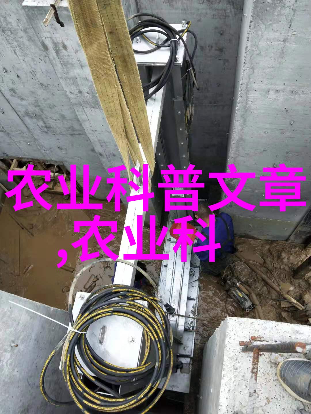 龙变成人历史上的著名化龙故事