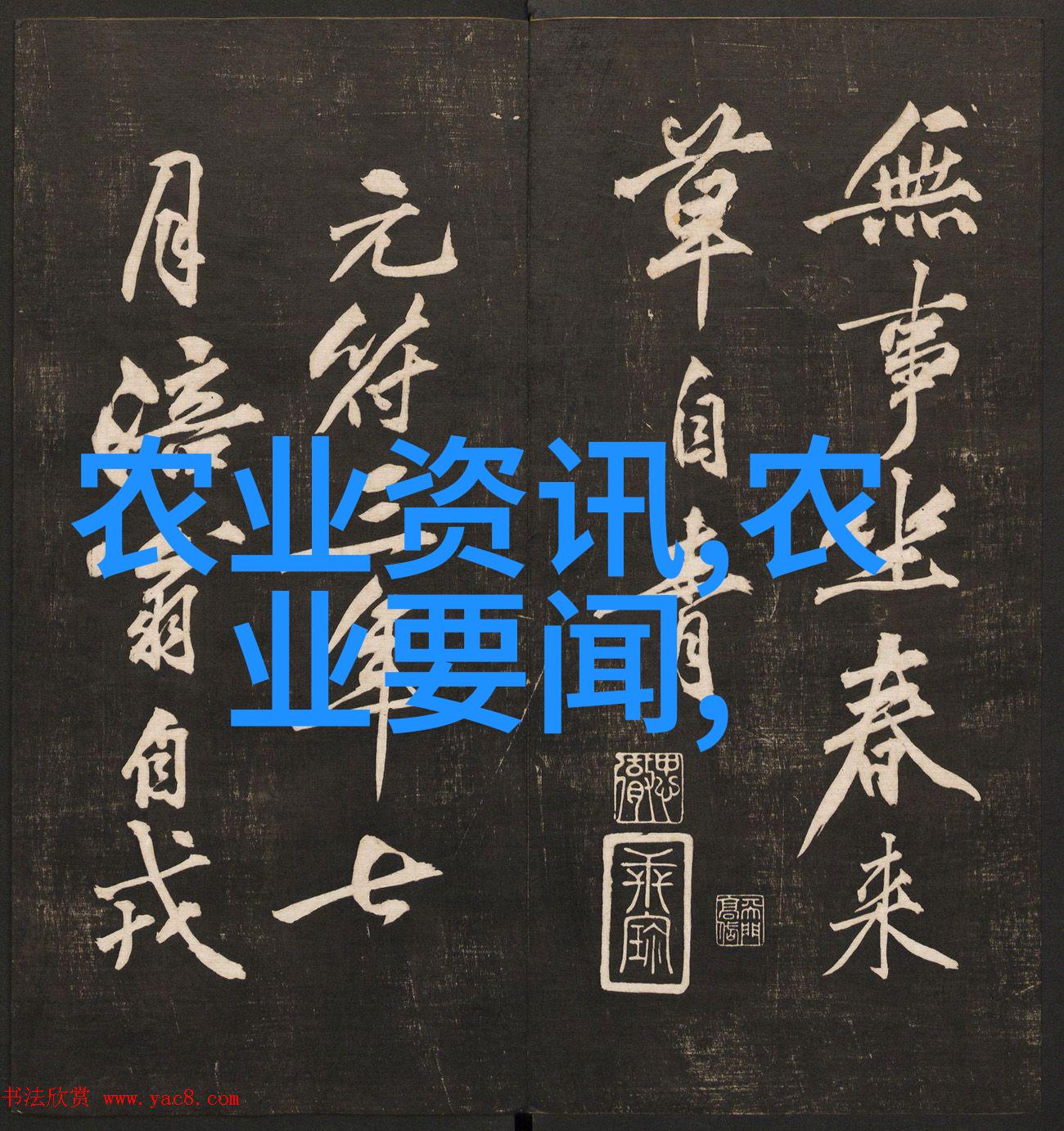 养殖业贷款50万条件农户资质认证项目可行性报告土地使用权证明财务状况声明