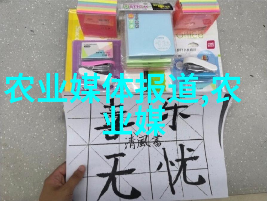 评估投入与产出之间的关系在哪里