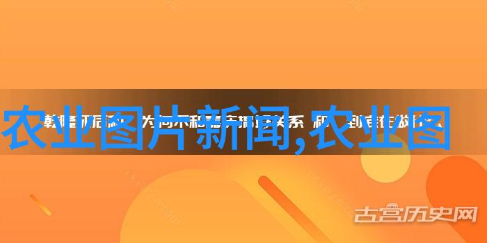 养蜂专业知识俺来教你怎么做