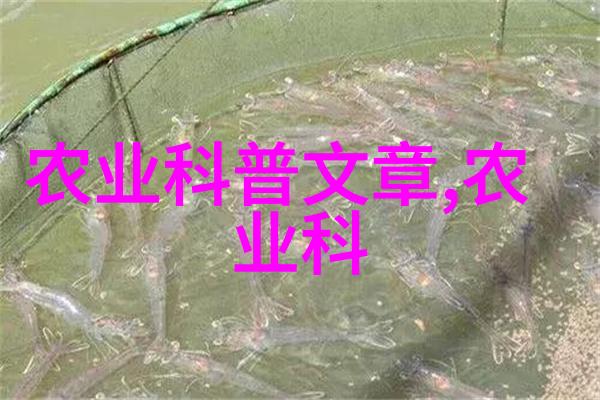 探秘菌类功效从抗氧化到增强免疫的微小奇迹