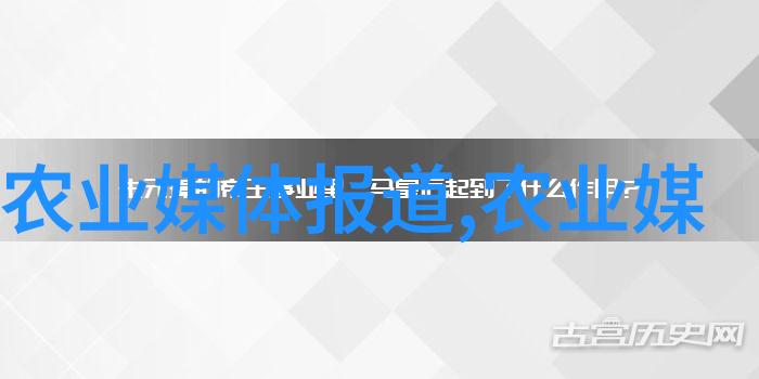 面对气候变化怎么调整稻田管理策略以适应不同天气条件呢