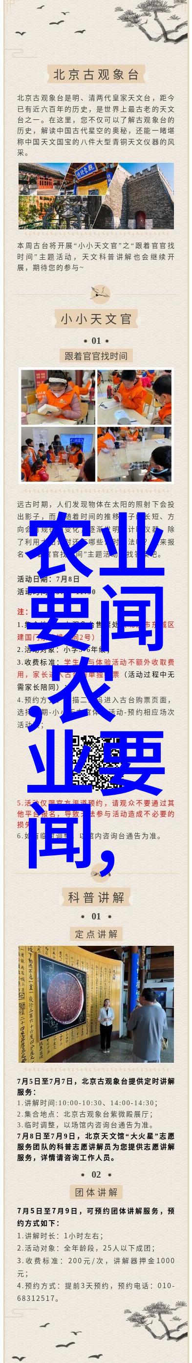 蜂缘智囊解密科学养蜂的秘诀与艺术