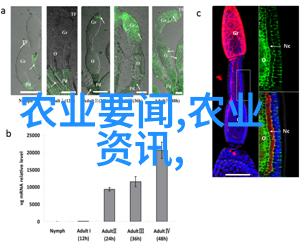 重生者狂想曲txt我是重生者从废柴到超级英雄的无尽梦想