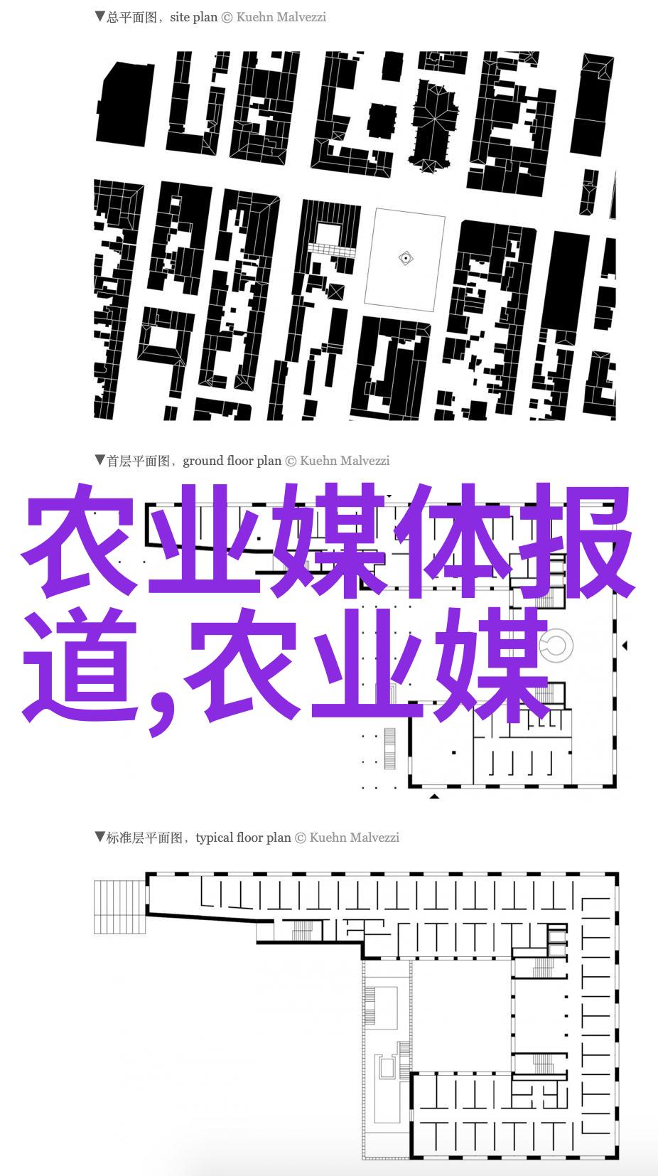 养殖知识亲自种田的乐趣和挑战