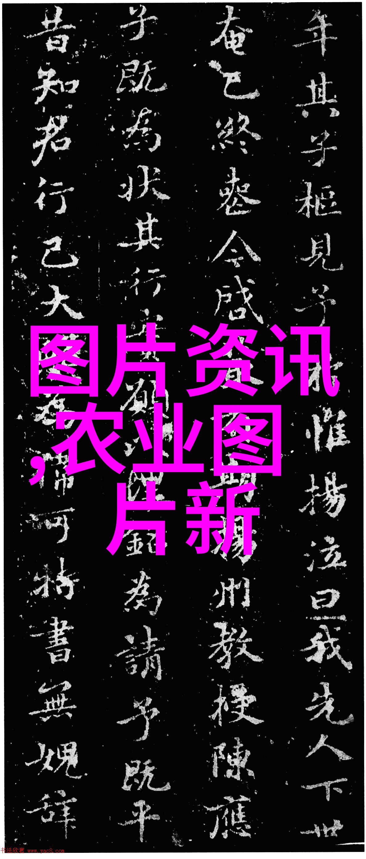 2020年9月猪价预测2020年九月份猪价