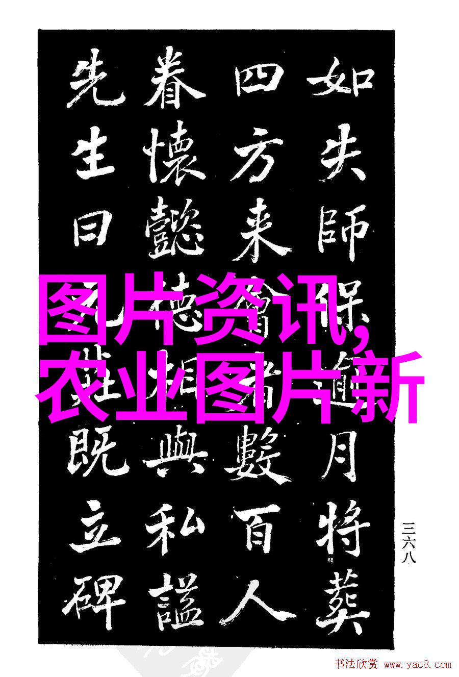 传统工艺遇现代科技智能化劳动场所中的劏肉机器人应用研究报告