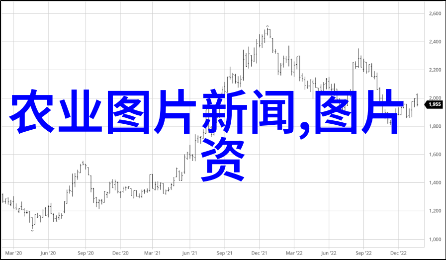 斗鸡养殖技巧全解提高肉质与繁殖能力的秘诀