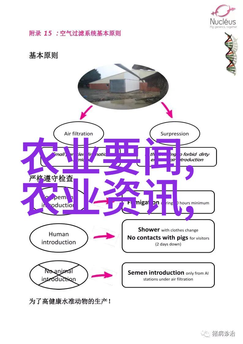 从事业开始探索将您的爱好转变为经济活动通过出售皇后或雌工做钱途开阔