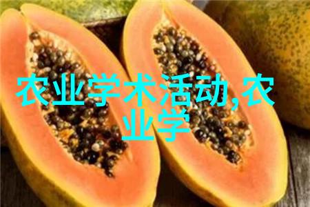 无土栽培一亩投入多少我是怎么在小区里悄悄种出一亩蔬菜的