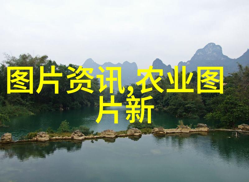 政策解读大师从字面意义到隐含玄机的奇妙旅程