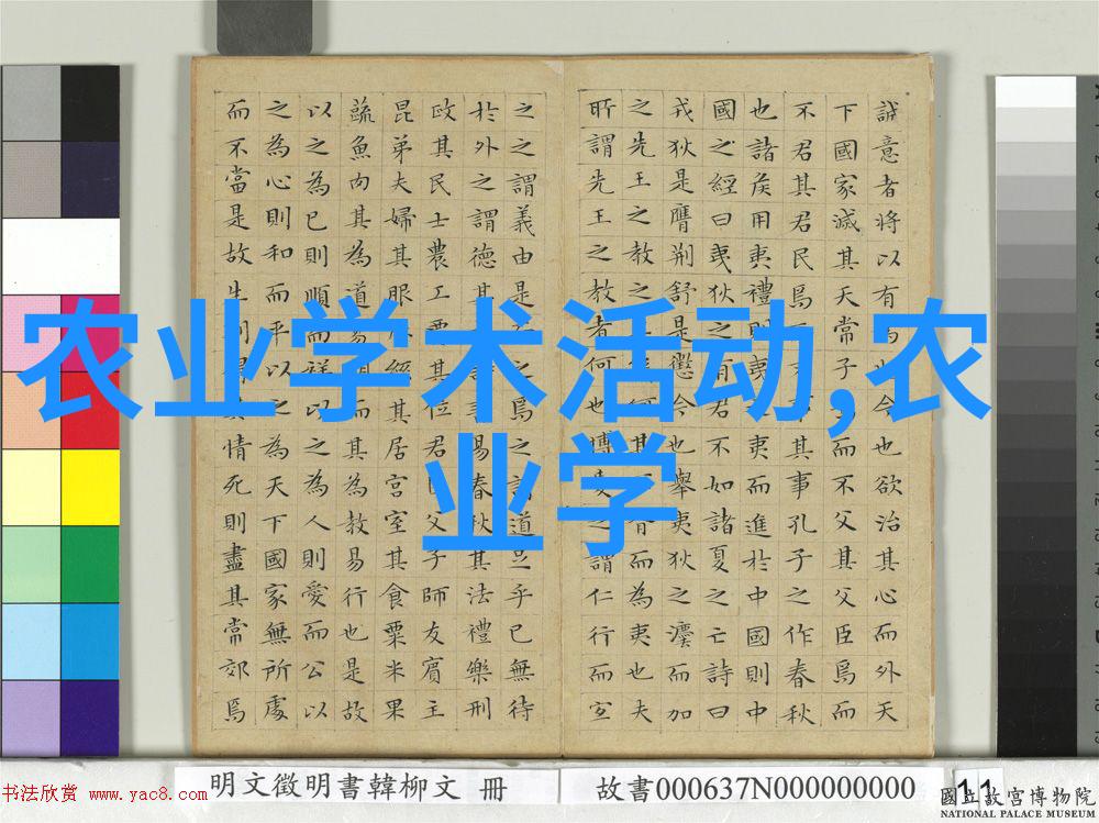 教育背景对于培养出色的职业生涯至关重要吗如果是这样那么最佳学习路径是什么