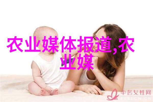 蜜蜂为何如此重要