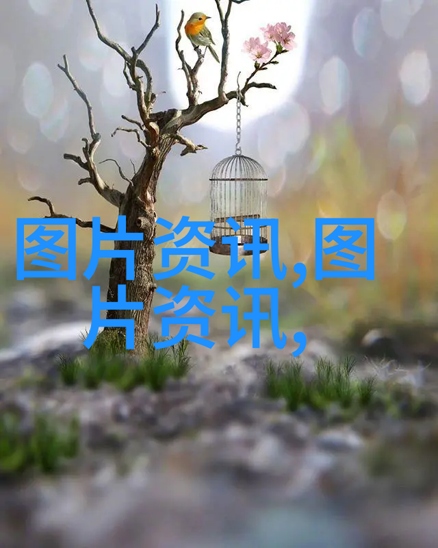 夜月直播YY77TV精彩回顾探秘虚拟世界的魅力与挑战