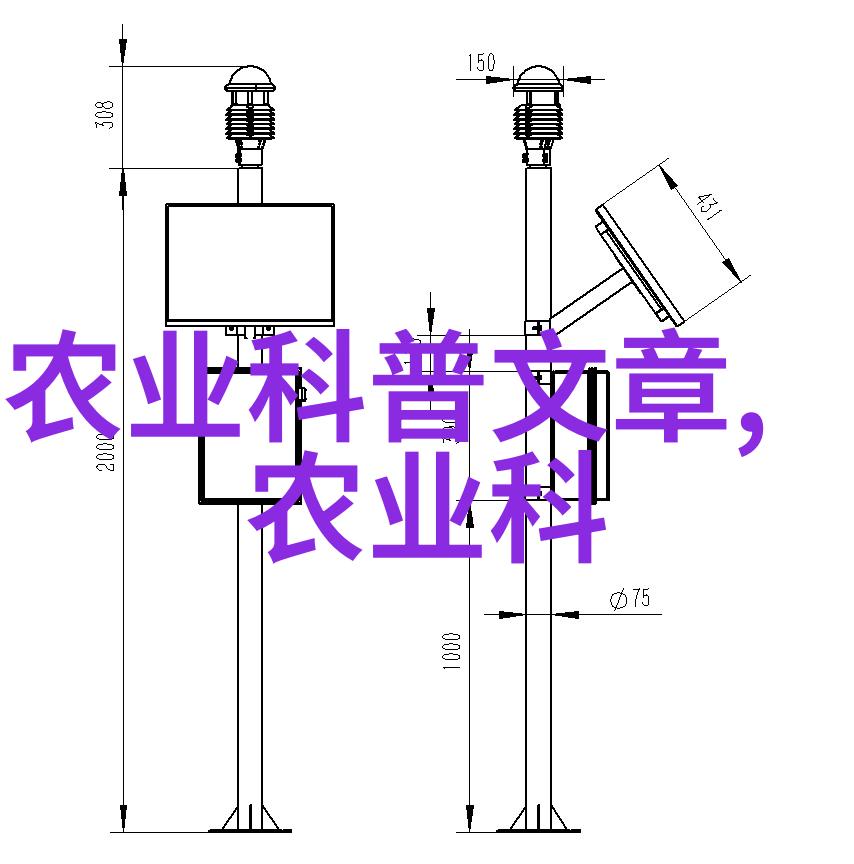 探索水果世界种子的奇妙变迁