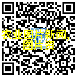 从绿萝到社会现象互联网时代如何塑造我们的价值观