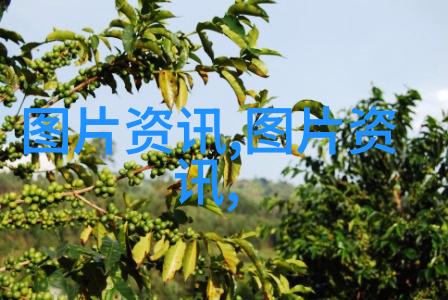 农业节目比喻式母猪催乳艺术揭秘五大哺育之法