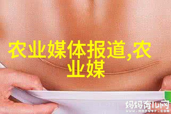 如何防止家用塑料或陶瓷制成的阳台花盘受损或生锈