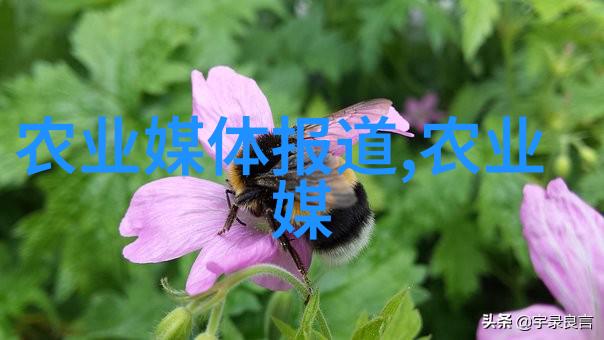 蔬菜种植技术大全书籍-绿茵田野从基础到高级的蔬菜种植技巧