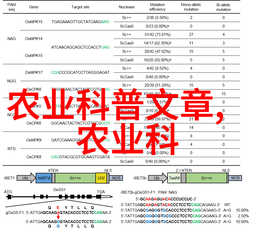 远离都市喧嚣寻找那些只在野外才能采到的草本药材的地方是什么