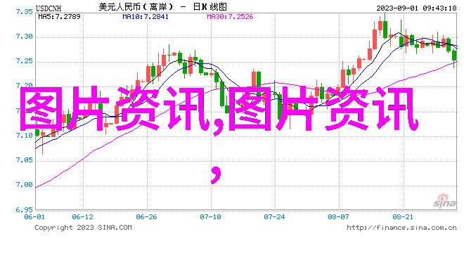 50箱蜜蜂一年能收入多少钱亲自养蜜蜂我来告诉你它们一年能赚多少钱