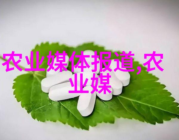 在家中养殖蜜蜂时我们该如何选择合适的分蜂时间