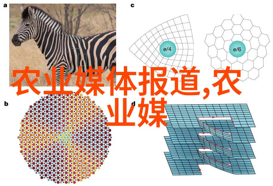 最容易种的水果是什么我告诉你这些超级简单的水果