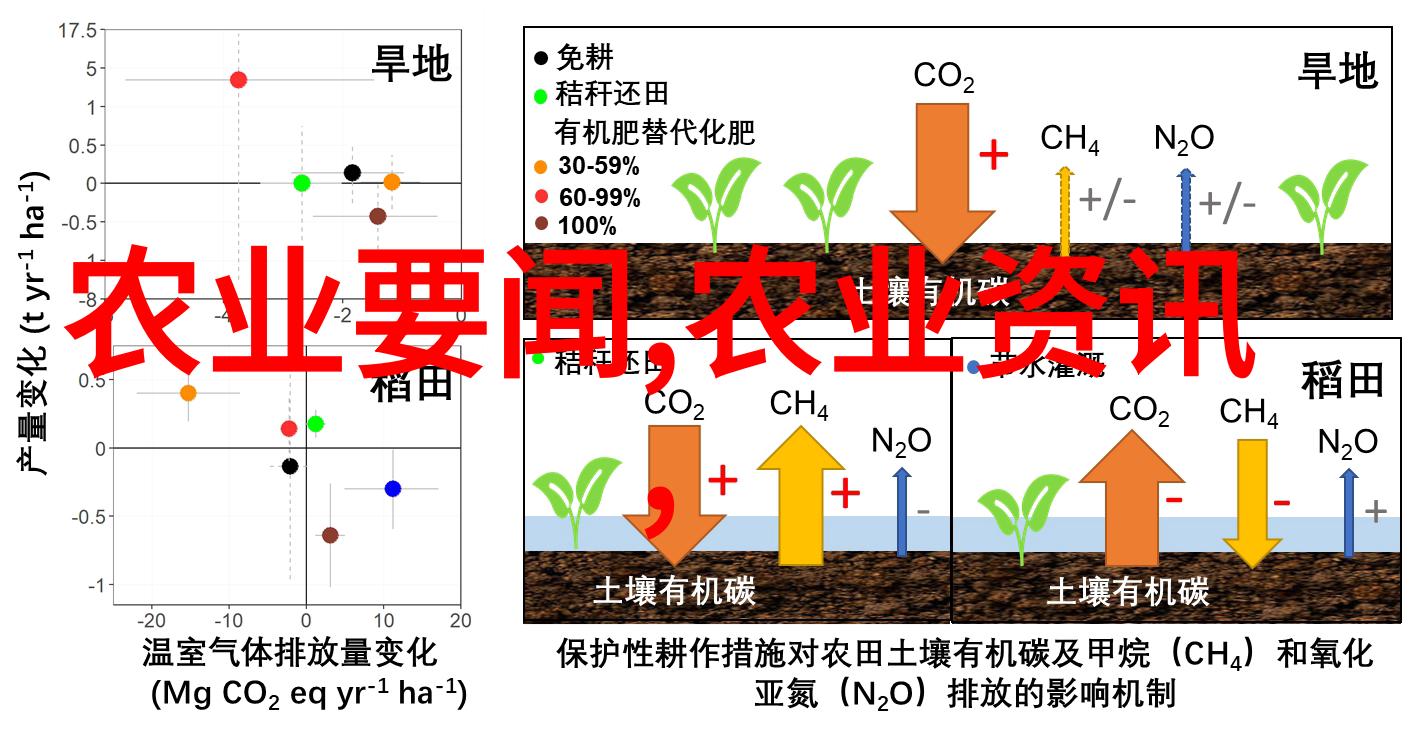 如何进行初产母猪与经产母猪的发情鉴定工作这不正如同寻找一款新鲜出炉的小吃配方一样既要精准又要周到