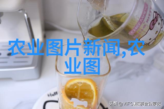 毒舌攻防战谁能笑到最后