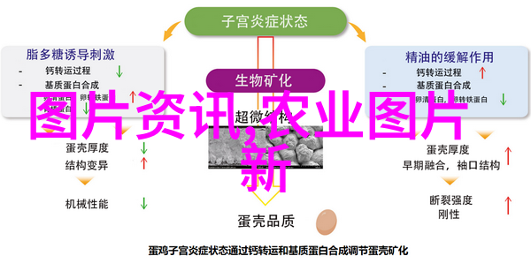 徐海荣智慧引领强健免疫防御猪群传染病的必胜法则