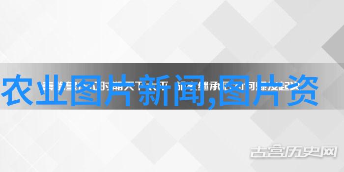 法律小常识100个让你笑中带泪的问答