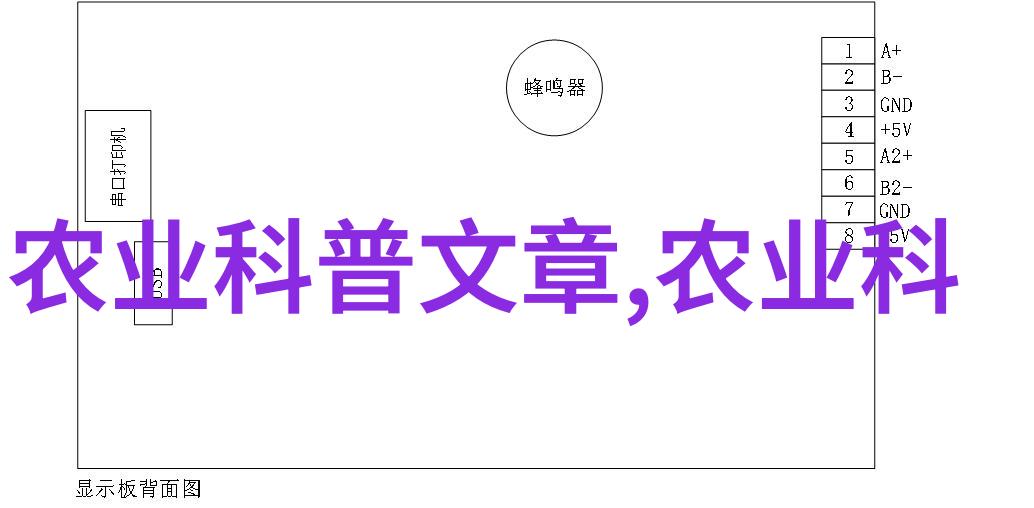 新时代蜂友探秘新养蜂技术的魅力与实用性