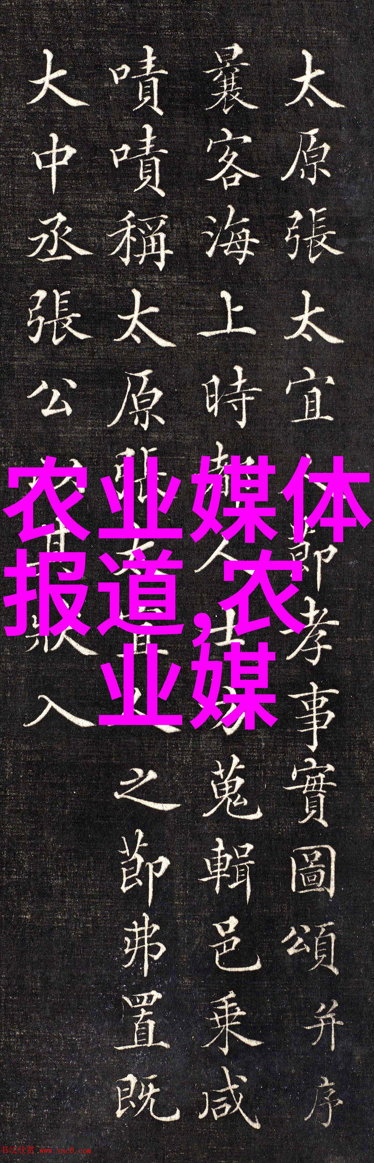 家庭用途及市场需求分析根据生活习惯选取最佳伴侣