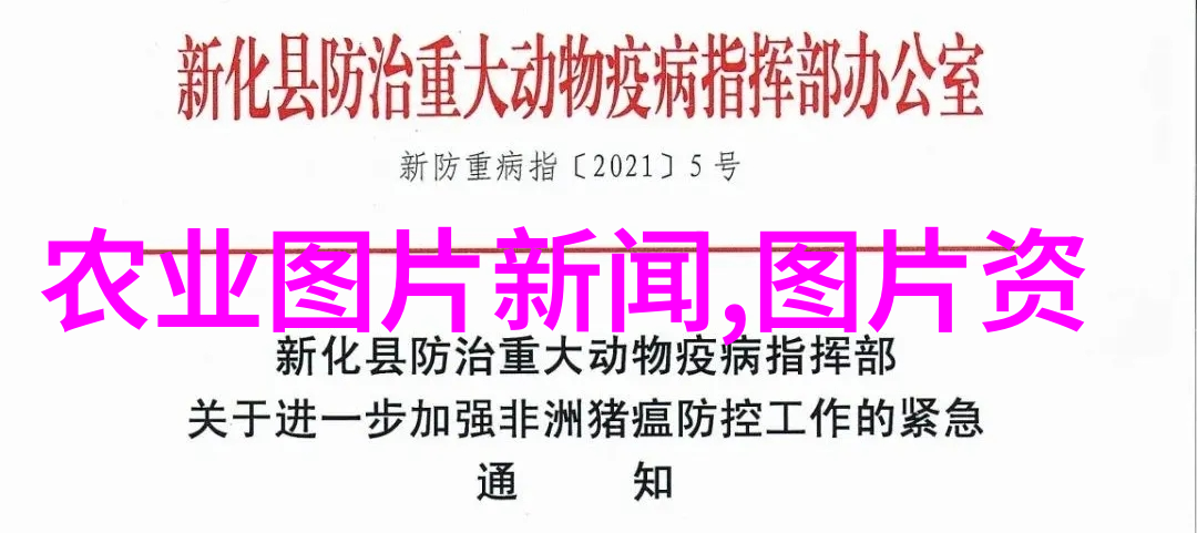 鄢陵苗木价格一览表详细解读苗木种类与市场报价