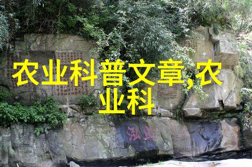 黄鳝养殖技术大全-精益求精提升黄鳝养殖效率与盈利能力的全方位指南