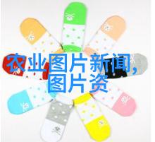 包装设备技术革新提升物流效率与环保标准