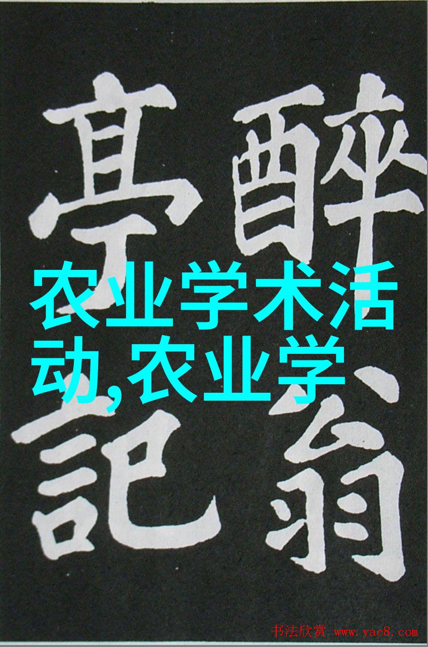 解读民法典2022电子版背后的法律变革与社会影响