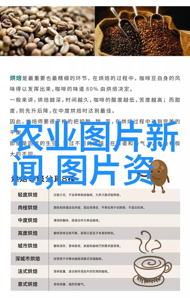 小蜜蜂的秘密花园如何巧妙引诱它们养出金黄色的宝藏