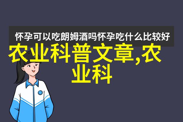 大型旋耕起垄施肥一体机-高效农业的新时代大型旋耕起垄施肥一体机如何提升作物生产效率