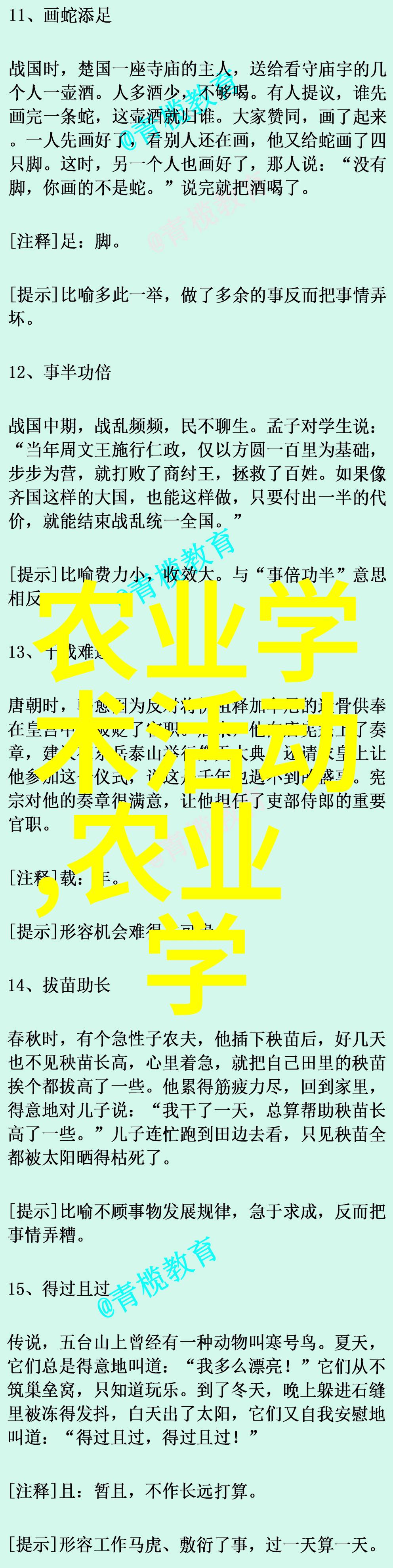 深度探究小龙虾养殖技术全解析