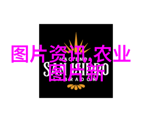 高效农业模式10亩连栋大棚的建设成本分析