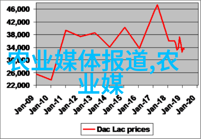 隐藏在果实中的秘密寻找水果的种子图片