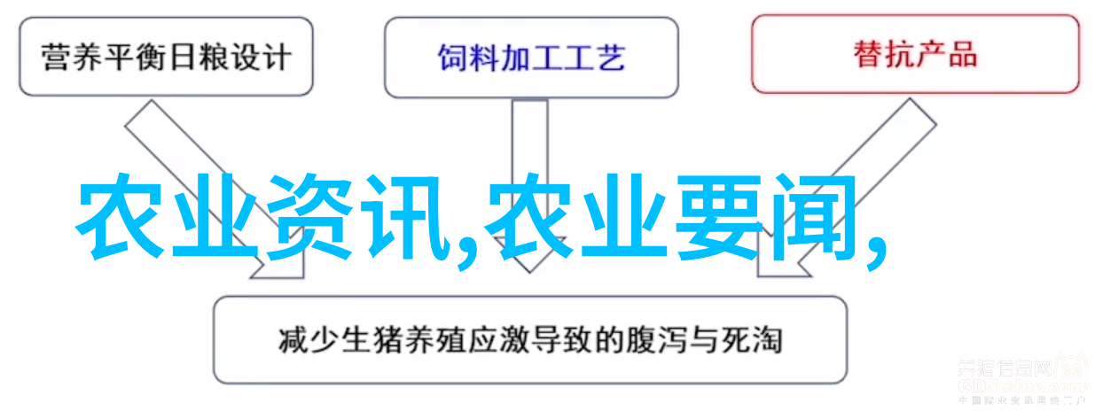 为什么苹果树会有大小年看看各种种子的图片和名字