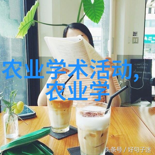 品茗延年揭秘茶叶的奇妙功效与应用