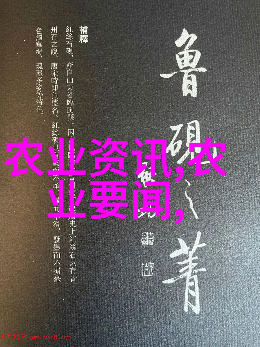 农业科技创新成果转化擦亮云系滇产品牌农业媒体报道聚焦人物故事