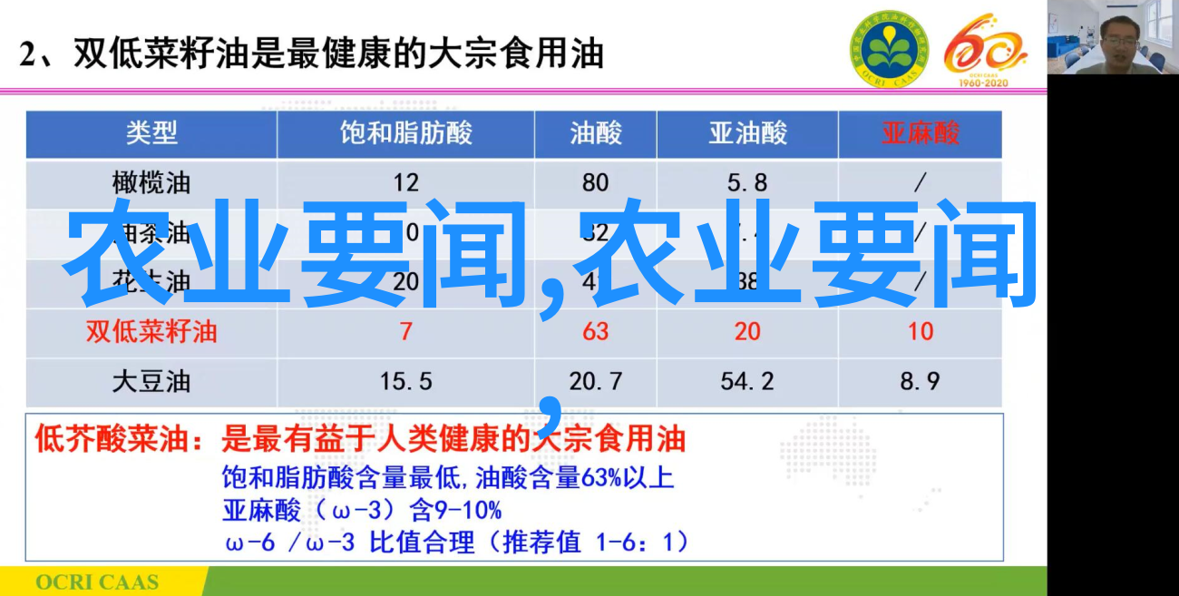 牧场上的巨兽圈养肉牛的智慧与实践