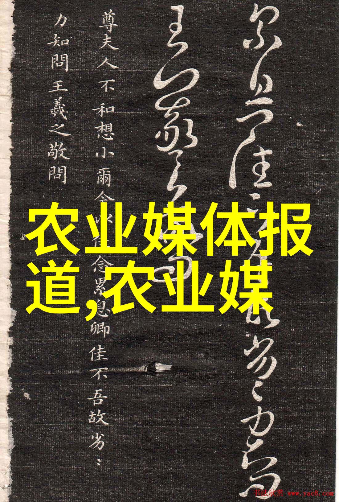 蜂舞先锋解锁新技术让蜜蜂部落迎来黄金时代的秘密